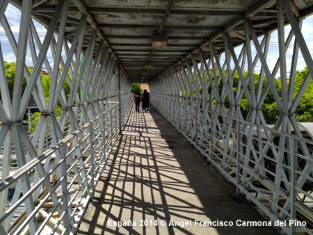 Metro Guadalajara