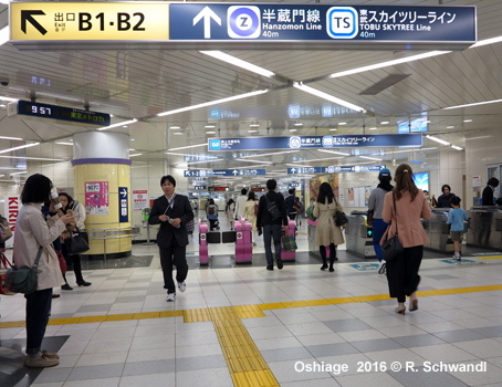 Tokyo Subway Hanzomon Line