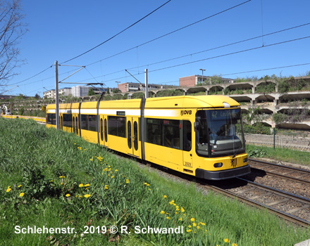 Tram Dresden