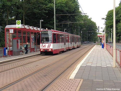 Duisburg Stadtbahn tram